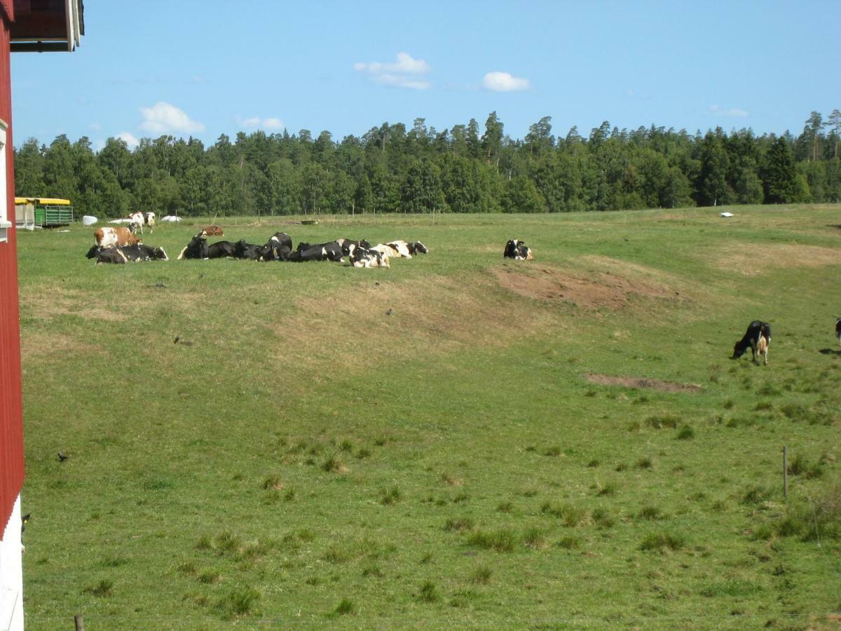 Stixered Fegen - Naera Till Ullared Exterior foto